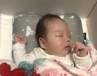 韓國 GIO Pillow - 超透氣護頭型嬰兒枕/防蟎枕-單枕套組-晚安兔兔