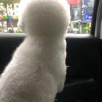 用戶頭像