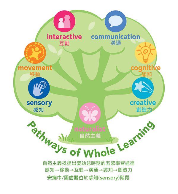 美國 green sprouts - 小綠芽植物性製成玩具堆疊杯4入組-彩船款