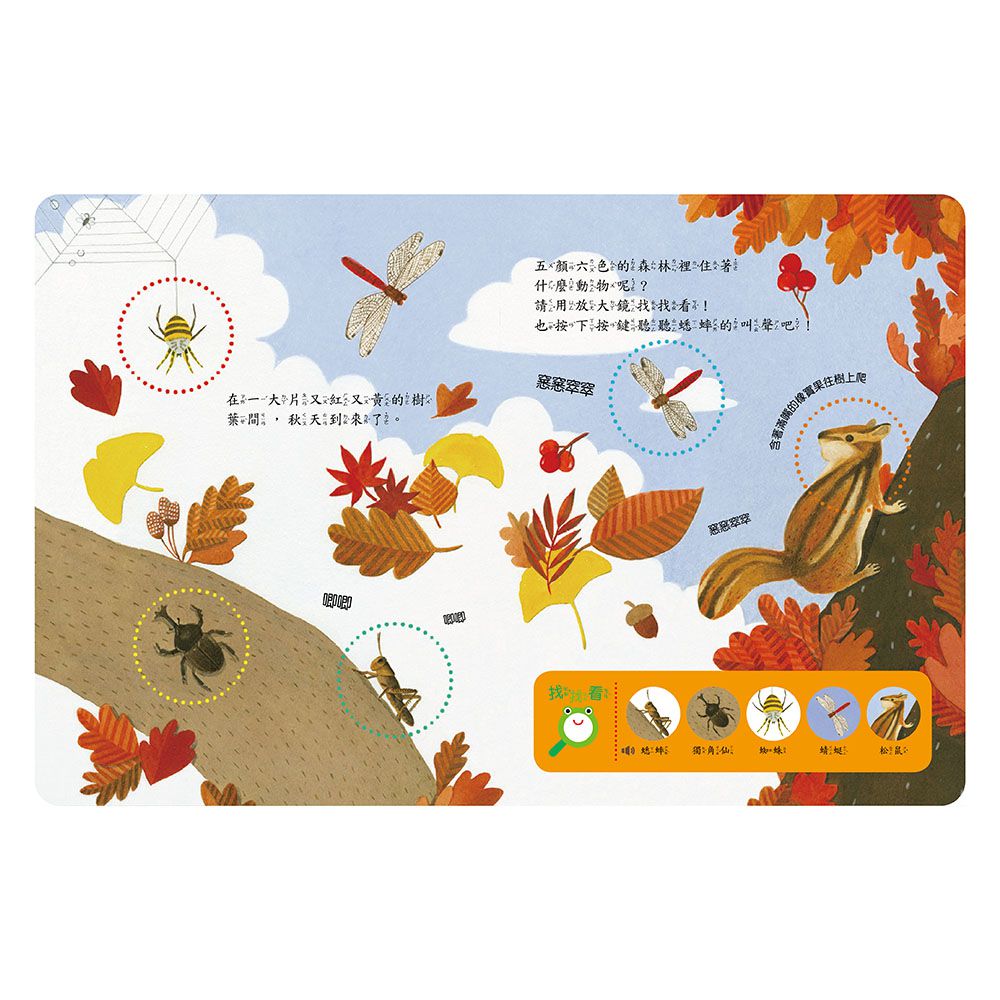 放大鏡有聲書-自然觀察