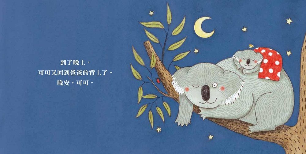 經典不敗幼幼互動書《小金魚逃走了》《好餓的毛毛蟲》《棕色的熊》