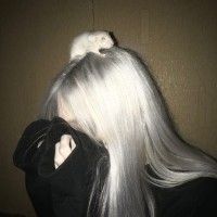 用戶頭像