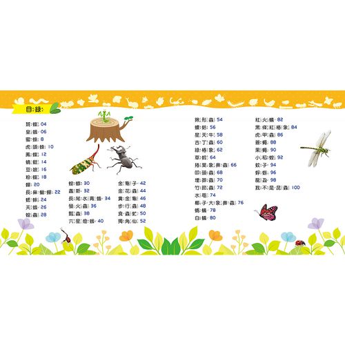 忍者兔魔法投影手電筒:昆蟲王國百科圖鑑