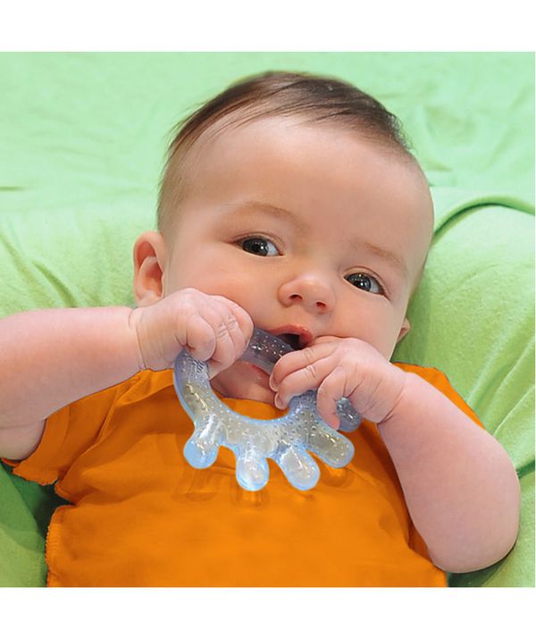 美國 green sprouts - 小綠芽冰鎮冷凍型按摩/舒緩疼痛固齒器-2入組-藍綠組