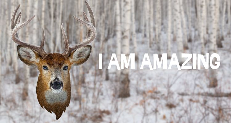 Madd Capp - I AM 動物拼圖-550,我是公鹿