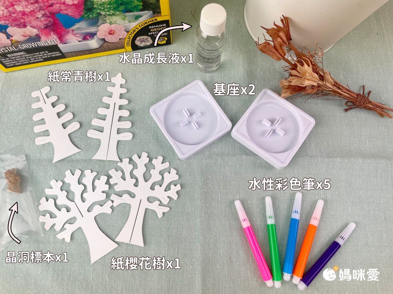 NATIONAL GEOGRAPHIC - 國家地理頻道 紙樹開花(水晶花園實驗套組)