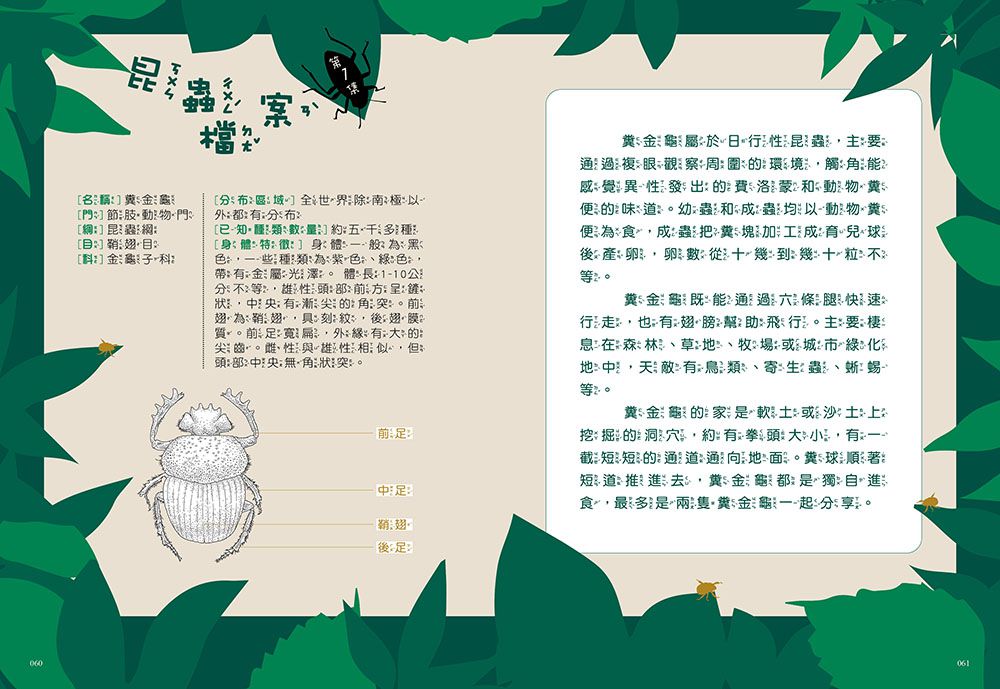 【神奇圖書館】昆蟲特戰隊(1)衝出蟲圍（中高年級知識讀本）