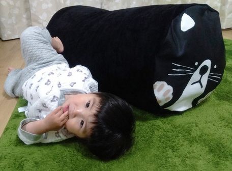 日本 TOYO CASE - 可愛動物 2way 棉被收納袋 / 抱枕-刺蝟 (Φ35×73cm)