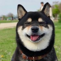 用戶頭像