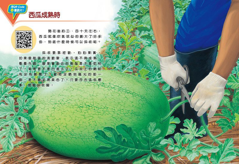 小牛頓科學教育有限公司 - 科學啟蒙組：故事中的科學四冊+小牛頓科學讚六冊(25~30)-平裝-全彩 (6-12歲)-全套十冊