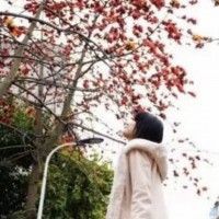 用戶頭像