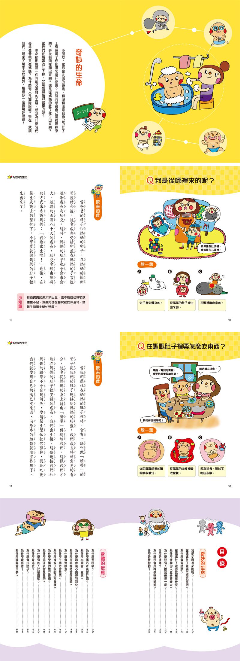 挑戰知識王-身體奧祕探索