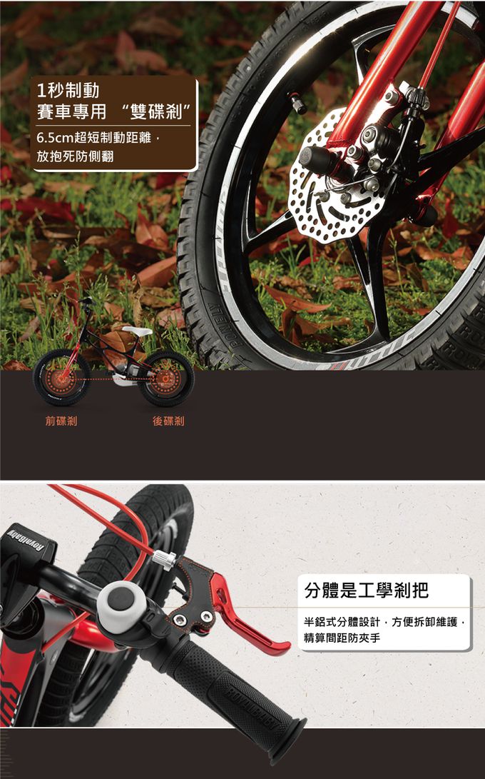 Royalbaby - 14吋星際兒童腳踏車(送打氣筒)-紫色