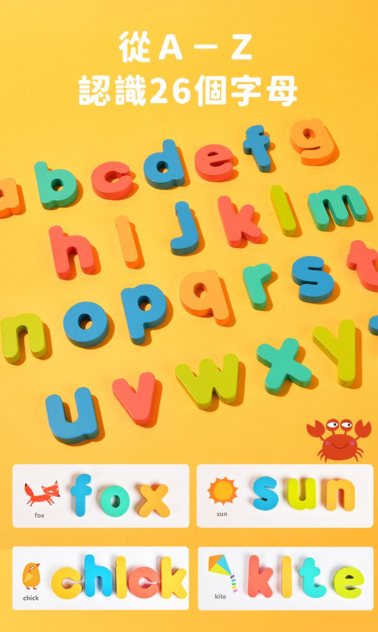 MiDeer - 木質英文早教拼字遊戲組