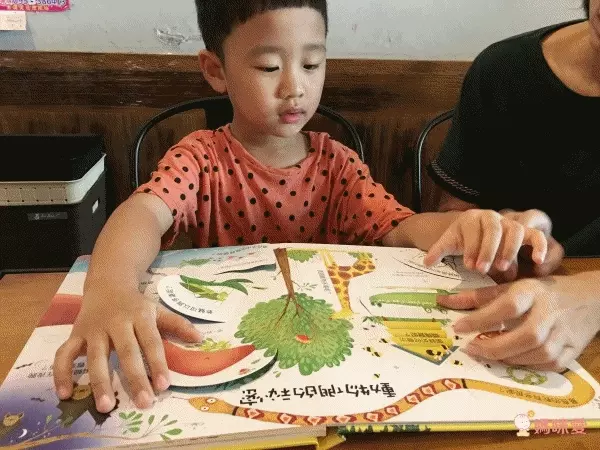 翻翻書大集合！【禾流文創 ✖ 閣林文創】