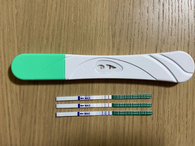 看起來是沒有 我第一次也是這樣就是沒懷孕 後來經期前6天驗到 會像試紙第一張那樣喔