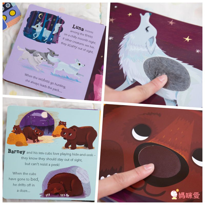 Owl says Hoot-Noisy Touch and Feel 熱鬧的森林夜晚 (觸摸音效書)