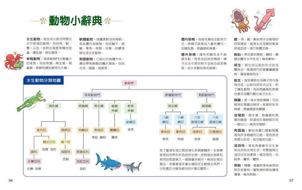 一樣不一樣：水生動物【A級福利品特惠】-全彩 (單本)-精裝