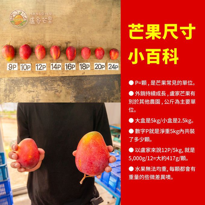 枋山盧家芒果 - 愛文芒果禮盒-本品牌-御用級2.5公斤(7粒裝)
