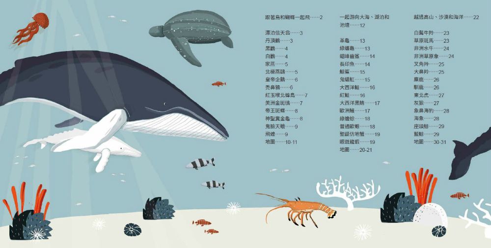 動物界的大旅行家 (精裝 /48頁 /全彩印刷)