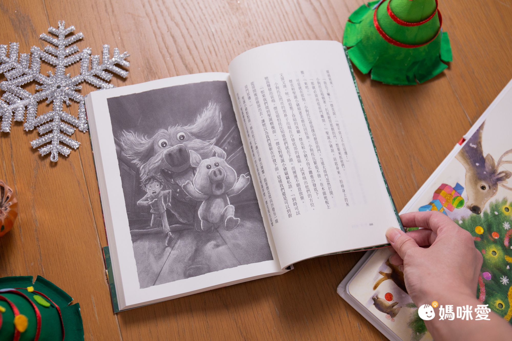 聖誕小豬：《哈利波特》作者J.K. 羅琳最新作品！只要還存有一絲希望，沒有東西會永遠喪失。因為愛，讓我們永存不朽！