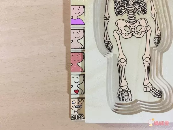 【德國 Beleduc】 益智桌遊 ✖ 拼圖