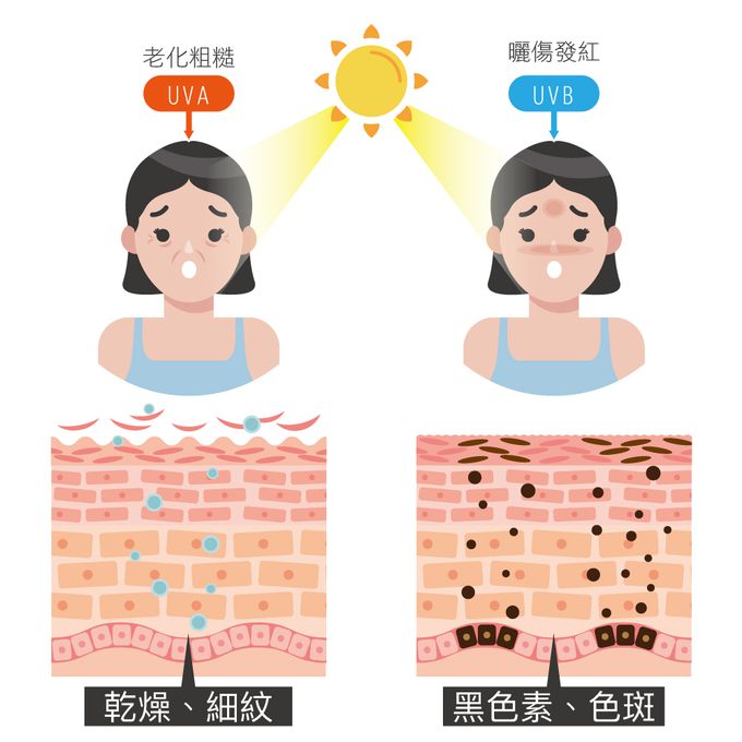 貝柔 Peilou - UPF50+透氣遮陽2用空心帽-花朵(成人) (Free Size)