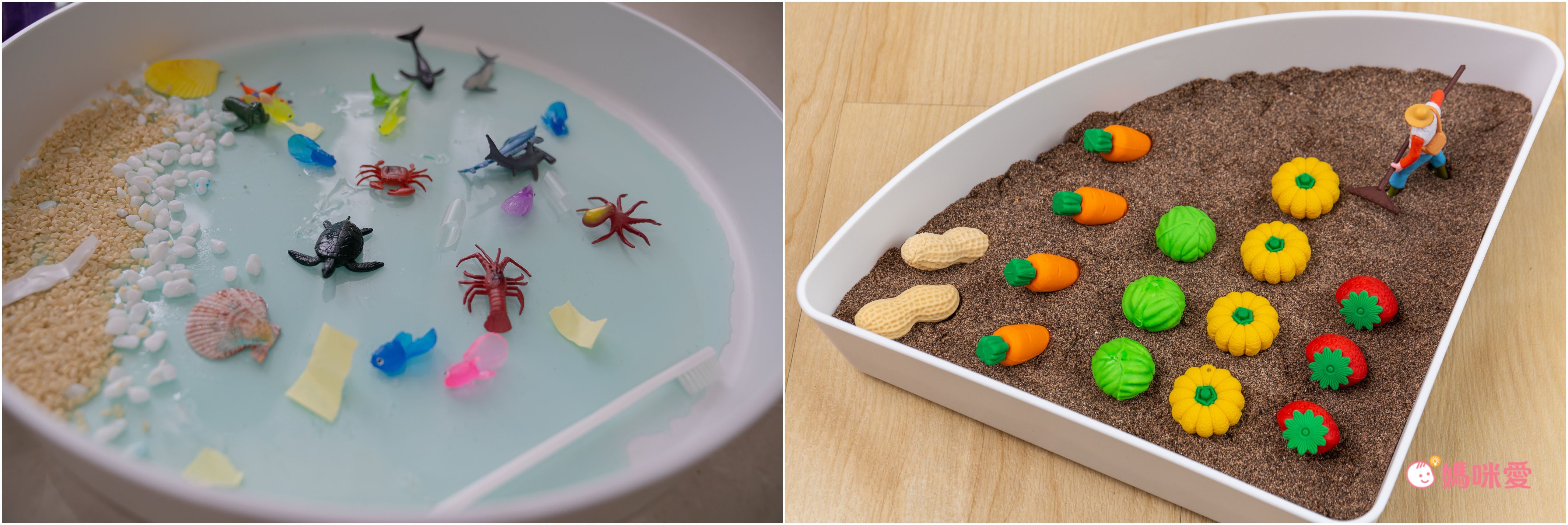 超激推5in1感官盆【韓國POKI趣玩盆】啟發創意力