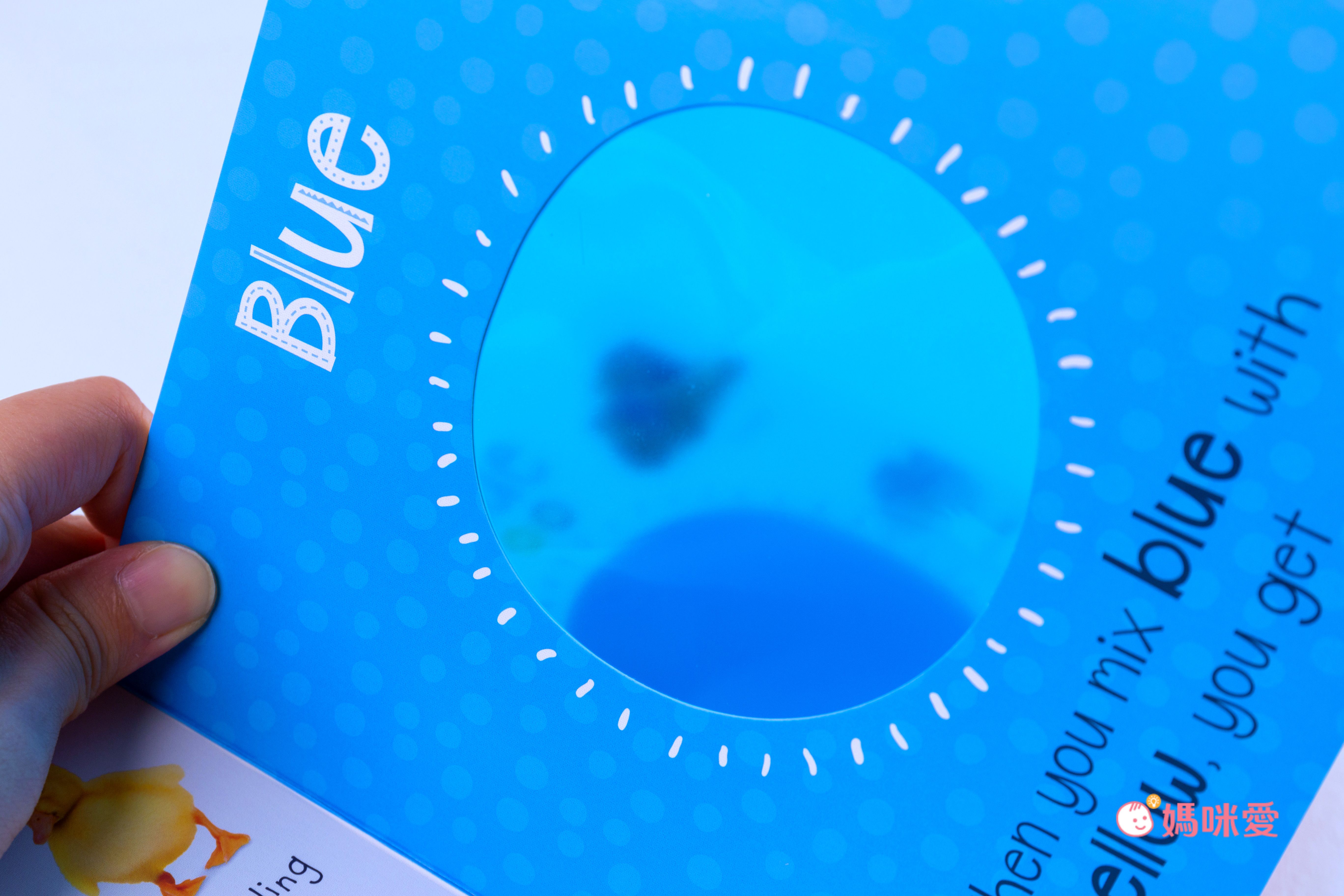 日本設計研發《KIDsREAD 四語圖解字典 》終於補貨！