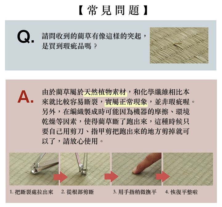 日本池彥 - 日本製 熊本產藺草抗菌除臭濕度調節 藺草蓆-線條-灰 (88x180cm)