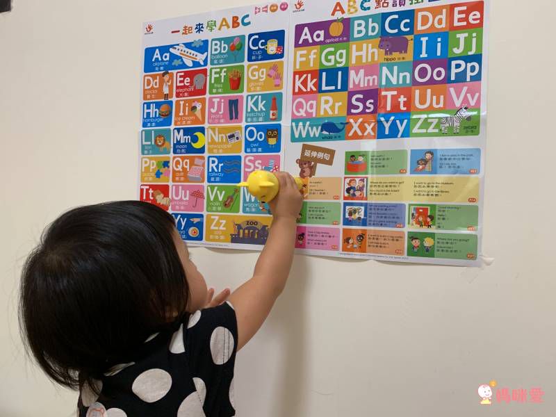 双美生活文創 - ABC點讀學習寶盒-波波狗點讀筆*1隻＋ABC認知圖典*1本＋圖鑑點讀書*1本＋ABC點讀掛圖*1張＋注音點讀卡*1張