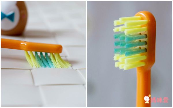 日本 U-COMPANY - 童趣動物上蓋吸盤式牙刷-柴犬-橘 (3y+)