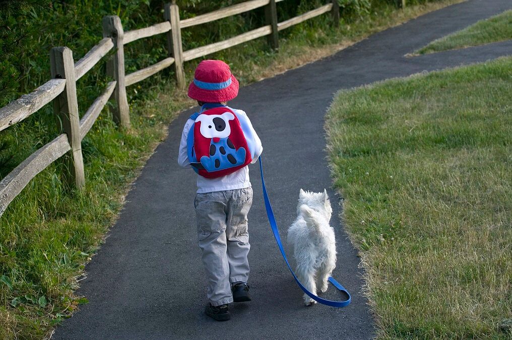 美國 Dabbawalla - 瓦拉包-狗狗後背包