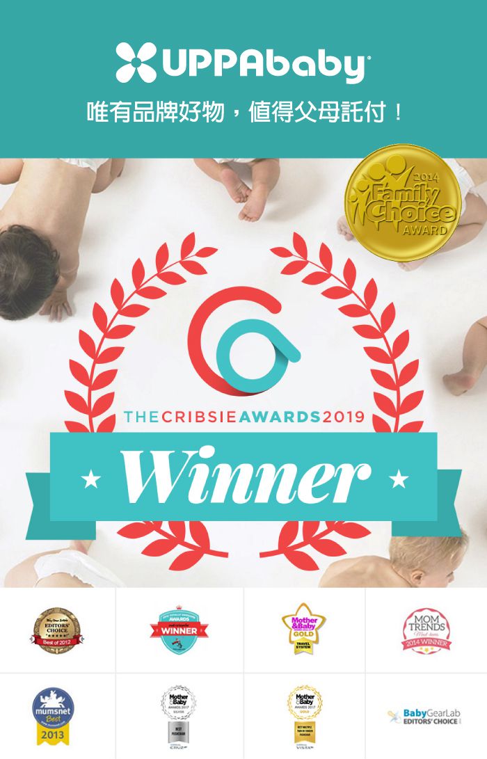 美國UPPAbaby - 2020年版新生兒貼身座墊（VISTA、CRUZ、V2適用）