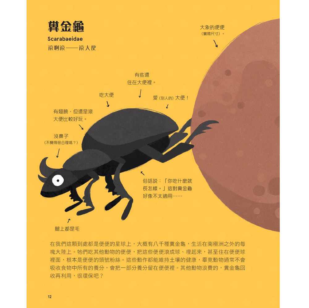 不可思議動物大集合-精裝