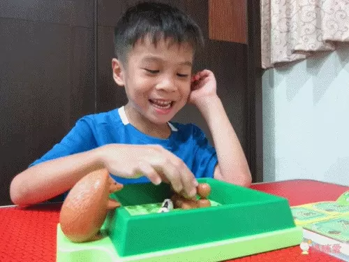 美國 POPULAR - 機靈小刺蝟