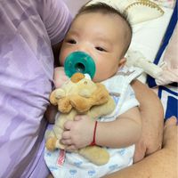 美國 MaryMeyer 蜜兒 - 玩偶安撫奶嘴-非洲獅