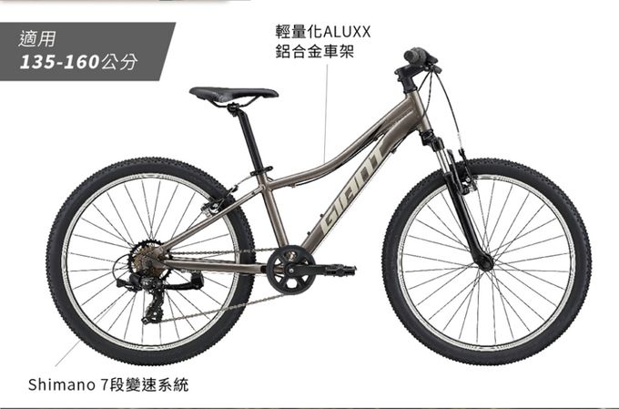 GIANT 捷安特 - XTC JR 24 青少年避震越野自行車-金屬灰 (單一尺寸)