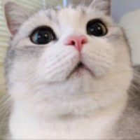 用戶頭像