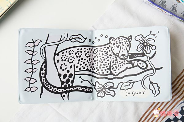 Colour Me: Who's in the Water? 是誰住在海水裡 (變色洗澡書)