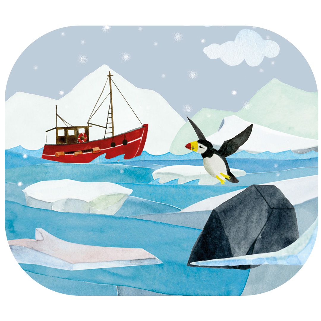 Moulin Roty - 故事手電筒精裝組-探索世界