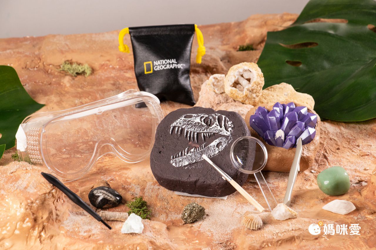 NATIONAL GEOGRAPHIC - 國家地理頻道 恐龍化石挖掘套組