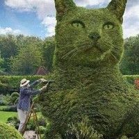 用戶頭像