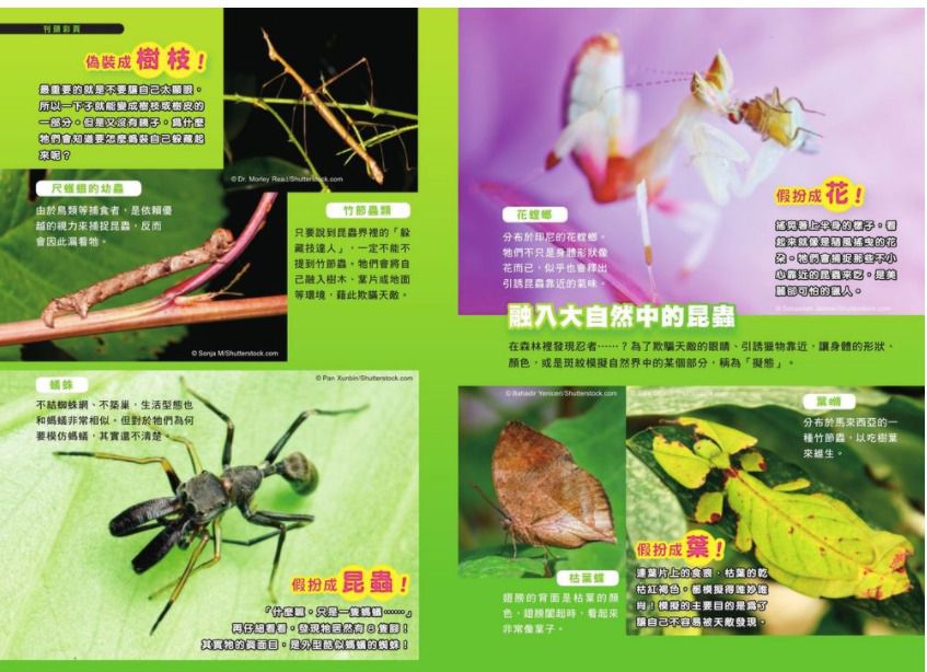 哆啦A夢科學任意門(11-15集)