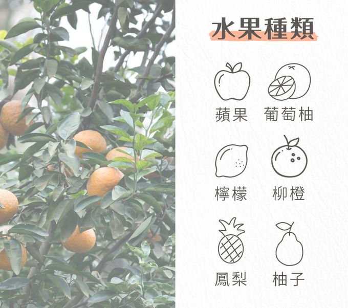 歐美淨 - 植萃酵素-衣物手洗精-500ml