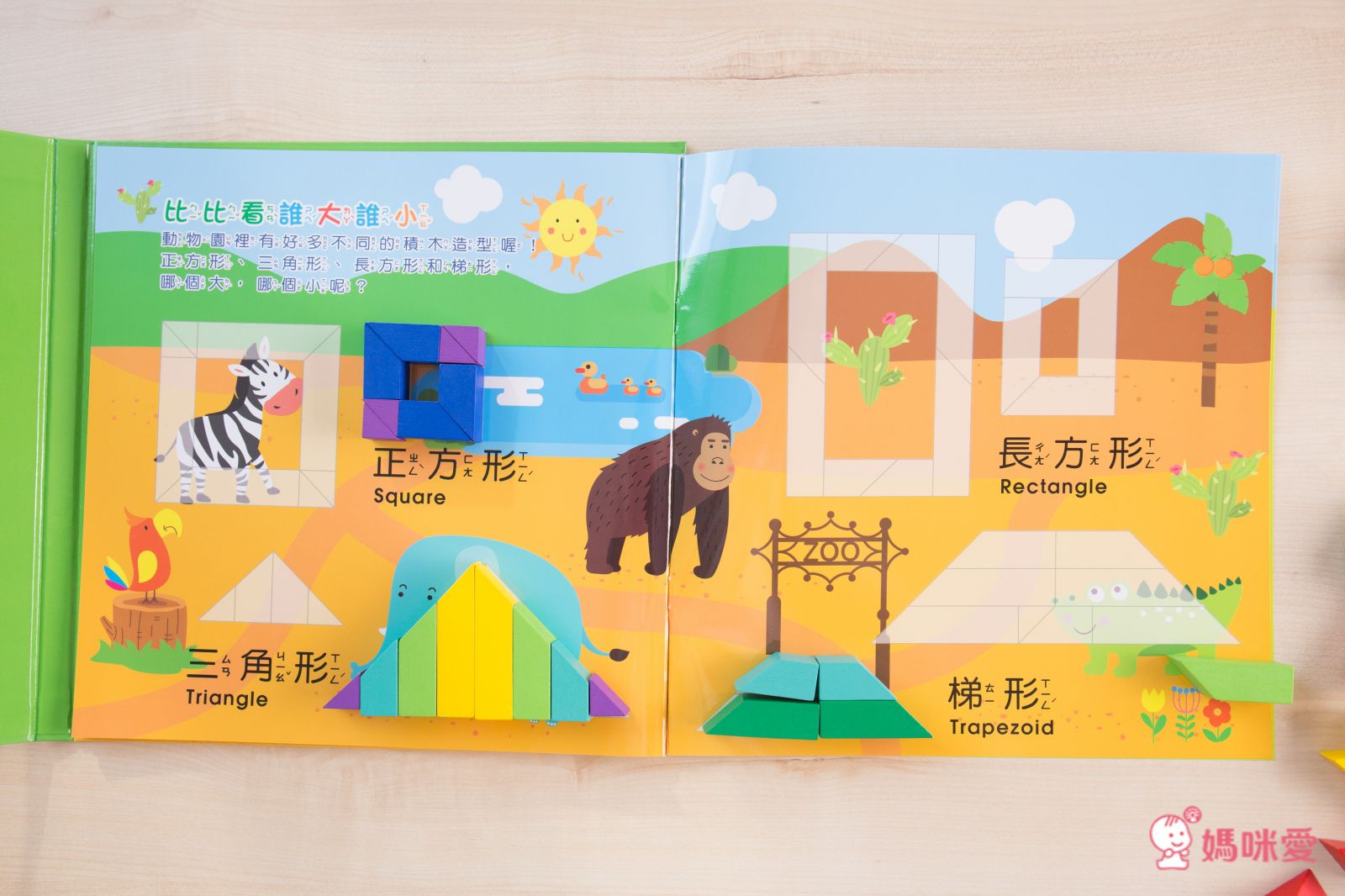 双美生活文創 - 5Q百變益智拼板：彩虹立體造形積木-44款平面造型變化+6款平衡積木變化+5款立體造型變化+1組木製彩虹積木