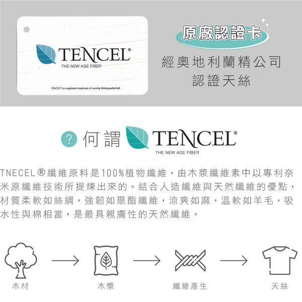 貝寶 - 天絲棉舒膚平衡童男三角褲-6入組-汽車x2+小暴龍x2+機器人x2