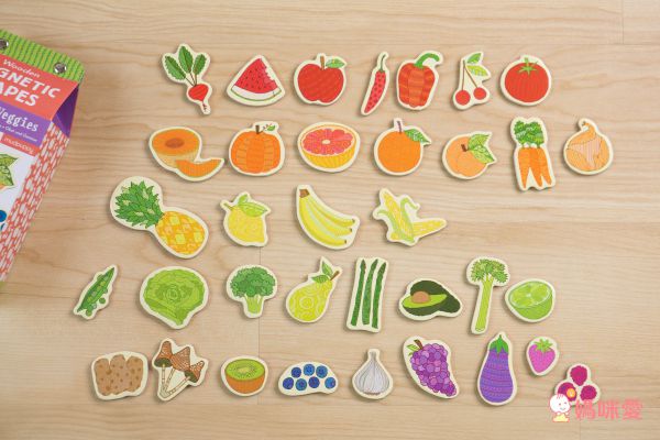 美國 mudpuppy - 木質磁鐵組-用品組-30-40片