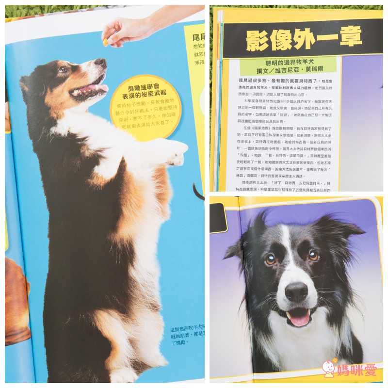 國家地理兒童百科：寵物 (精裝 / 63頁 /全彩印刷)