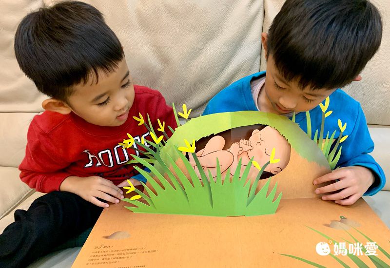 你在媽媽肚子裡的樣子―1：1真實比例小寶寶立體書（立體封面典藏版）